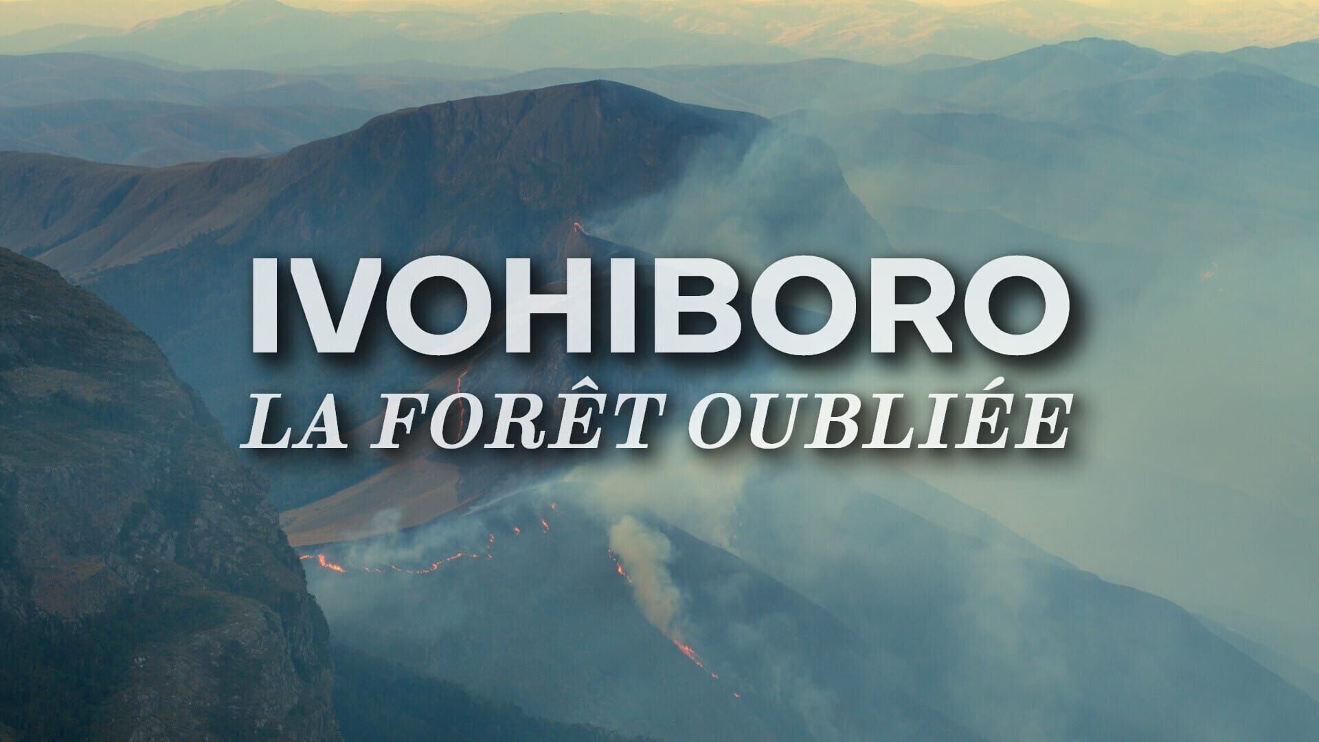 Ivohiboro, la forêt oubliée sur France 5
