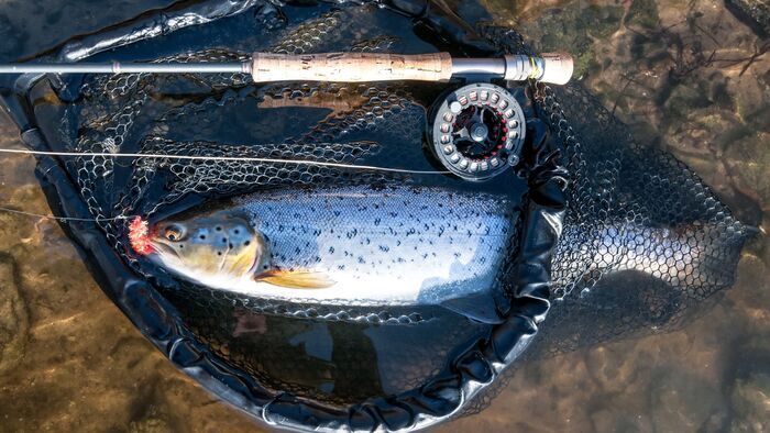 Sea Trout Camp Out