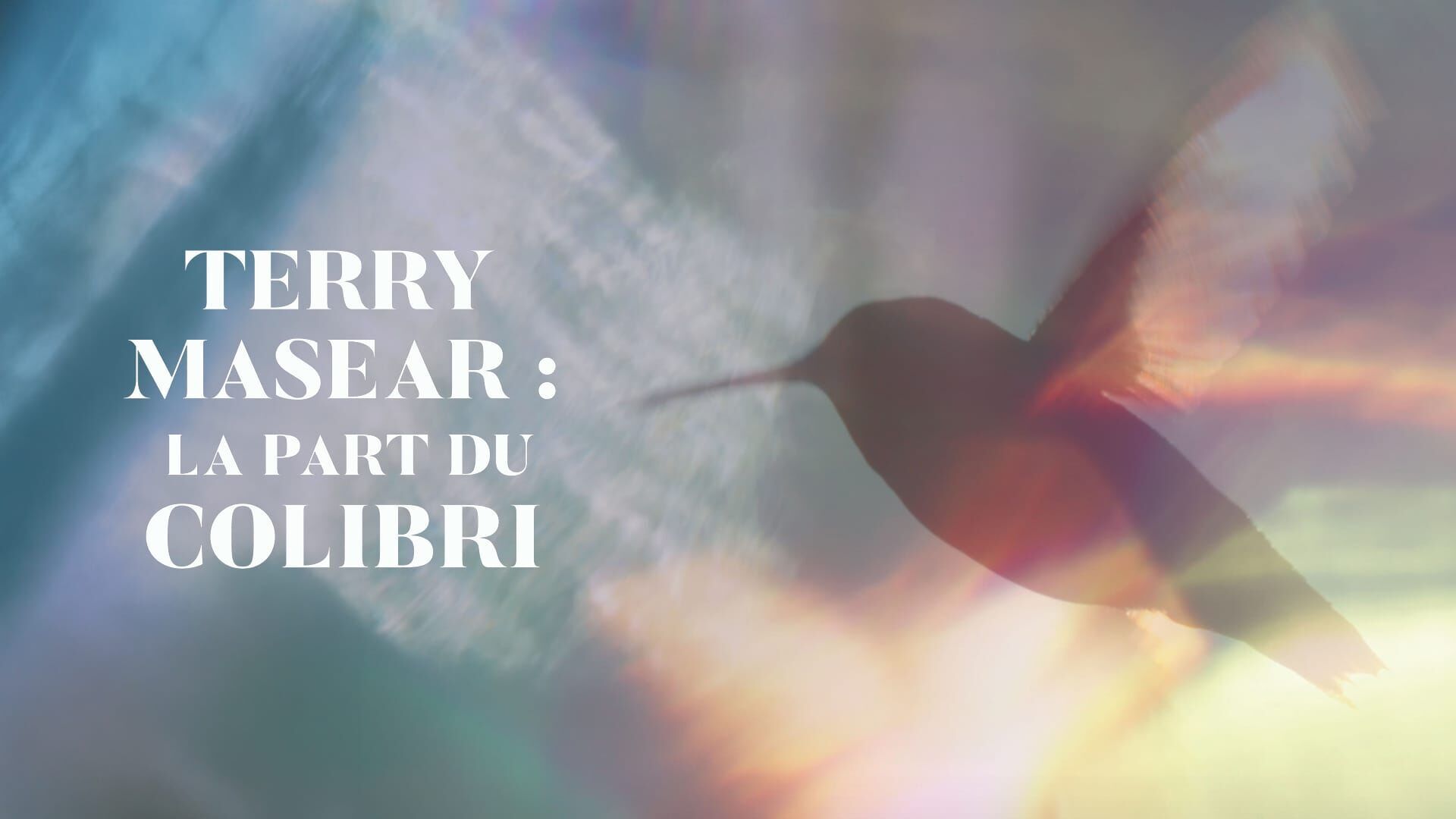 Terry Masear : la part du colibri