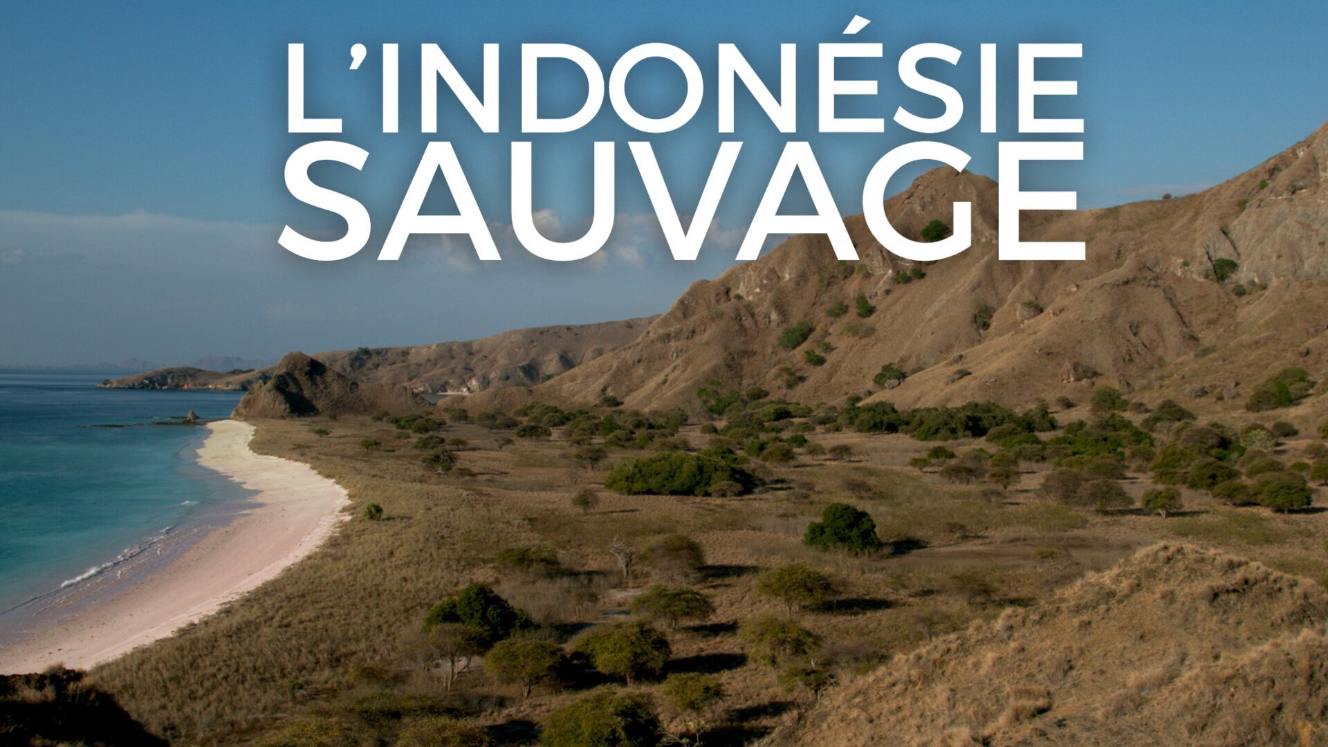 Le territoire des dragons