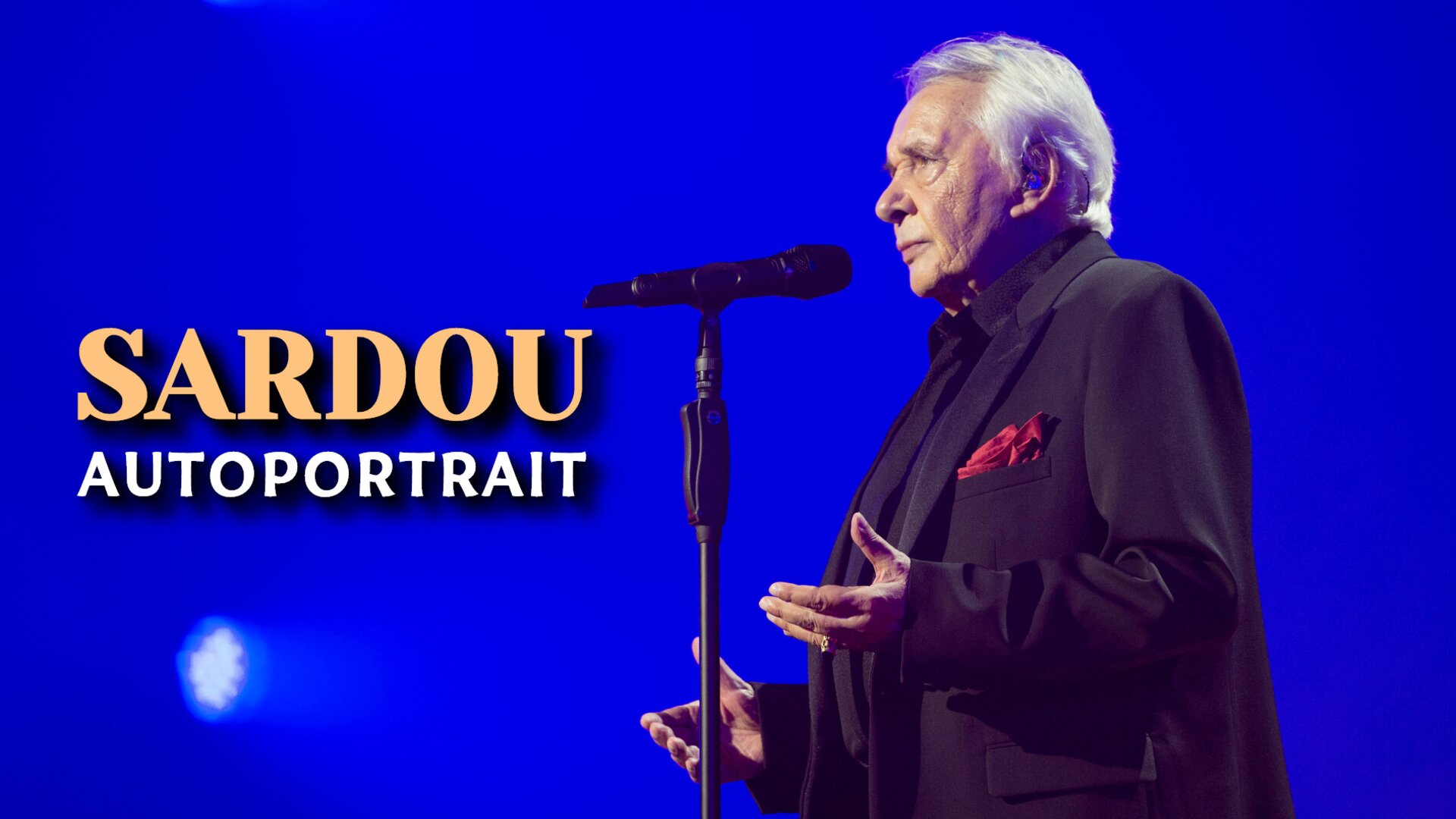 Sardou, autoportrait
