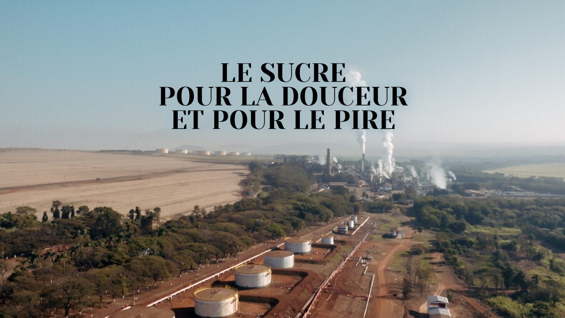 Le sucre, pour la douceur et pour le pire