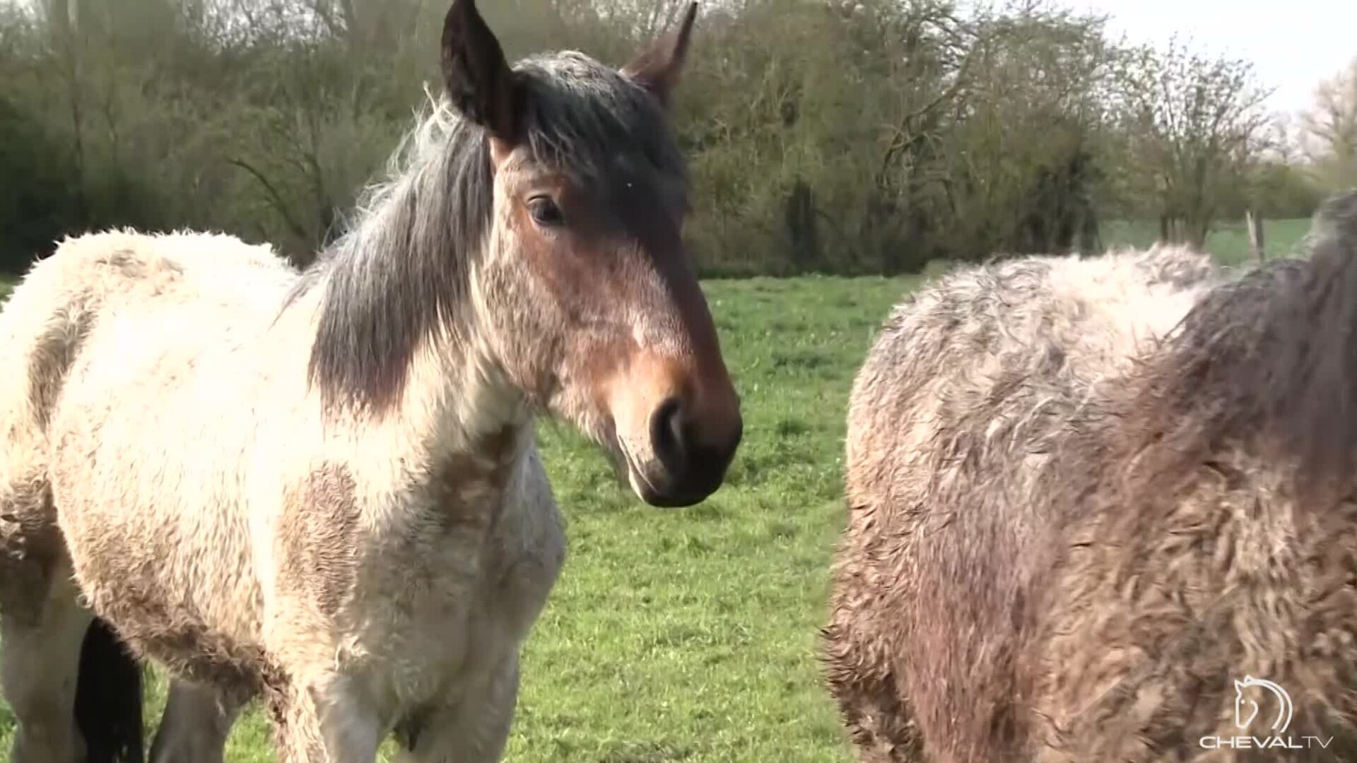 Hauts de France (Part. 1)