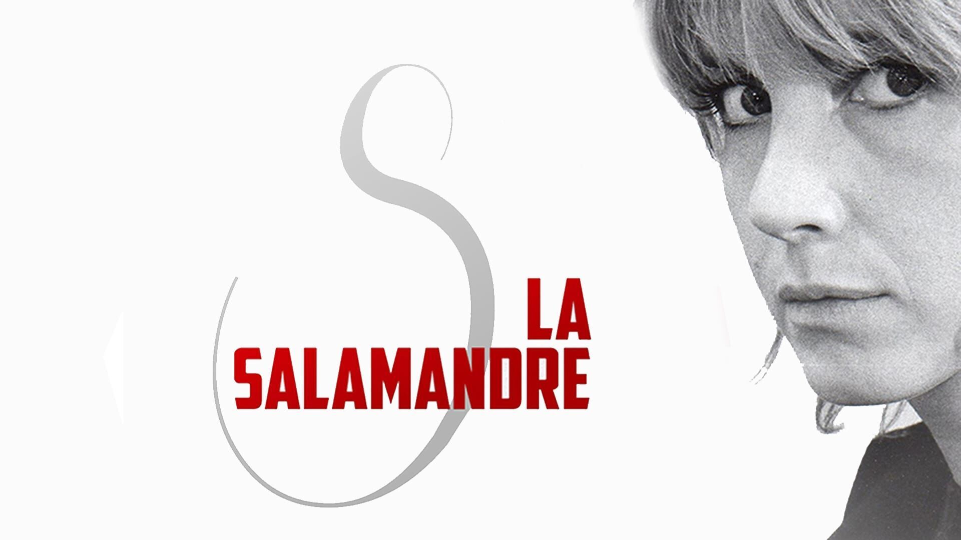 La salamandre