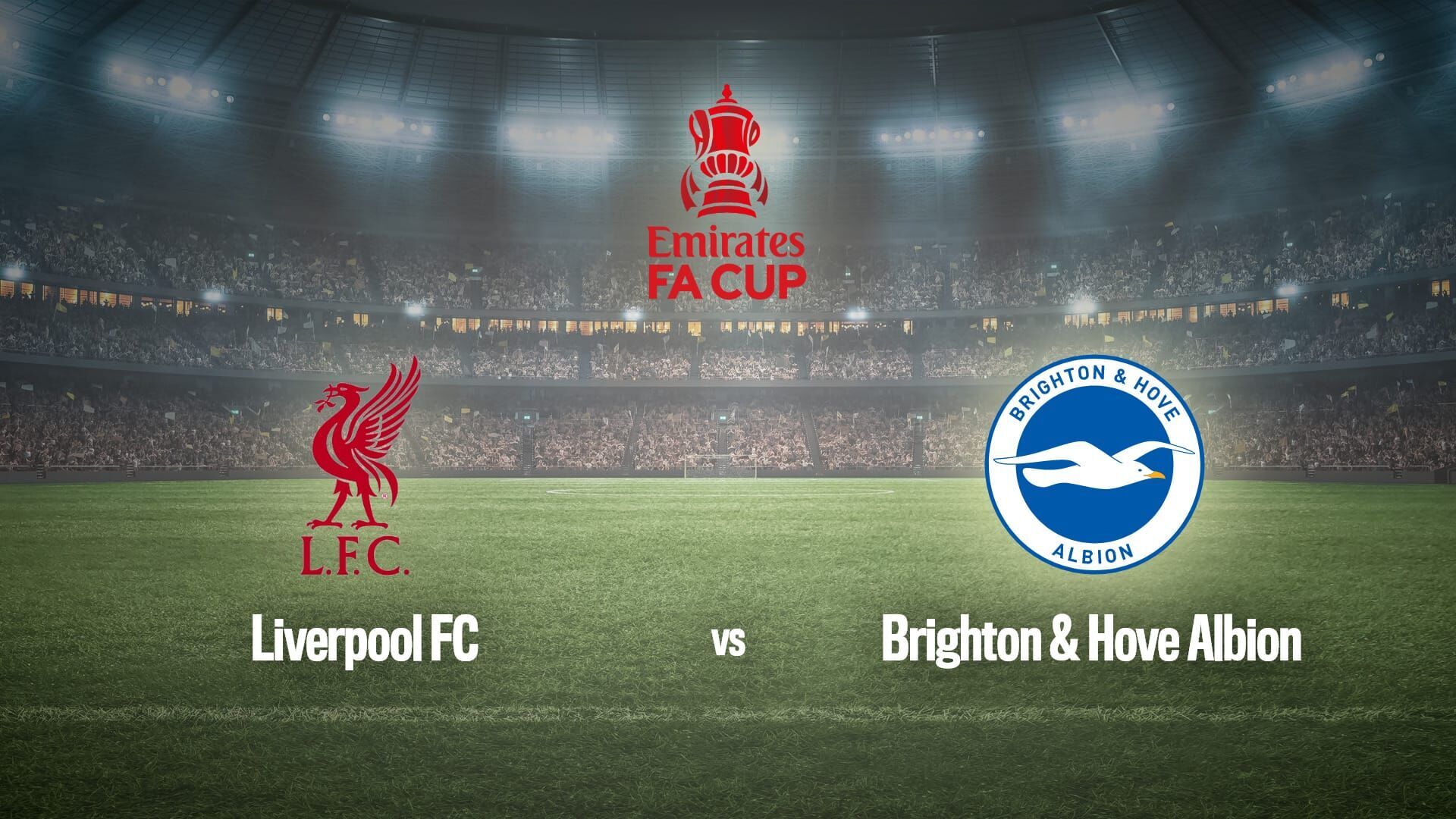 Football : Coupe d'Angleterre