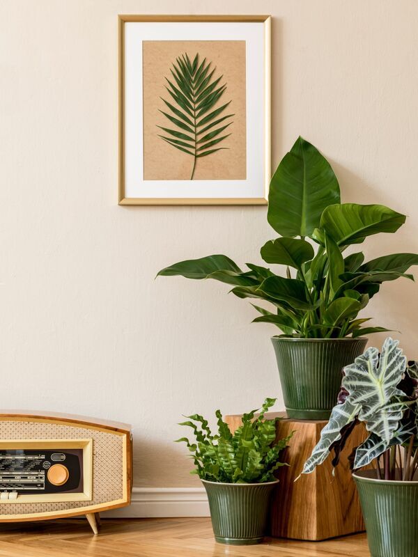 Vous venez d'acquérir une ancienne maison ? Comme Laeticia réduisez votre consommation énergétique