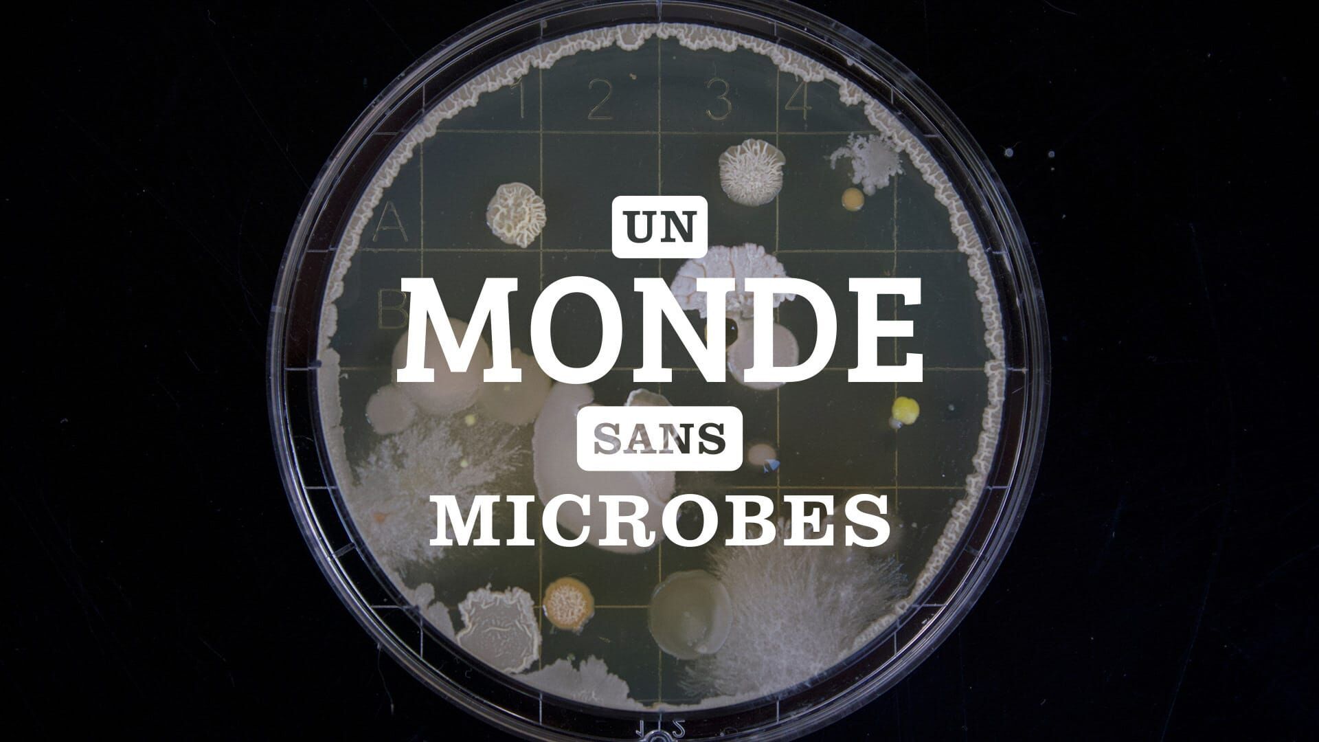 Un monde sans microbes