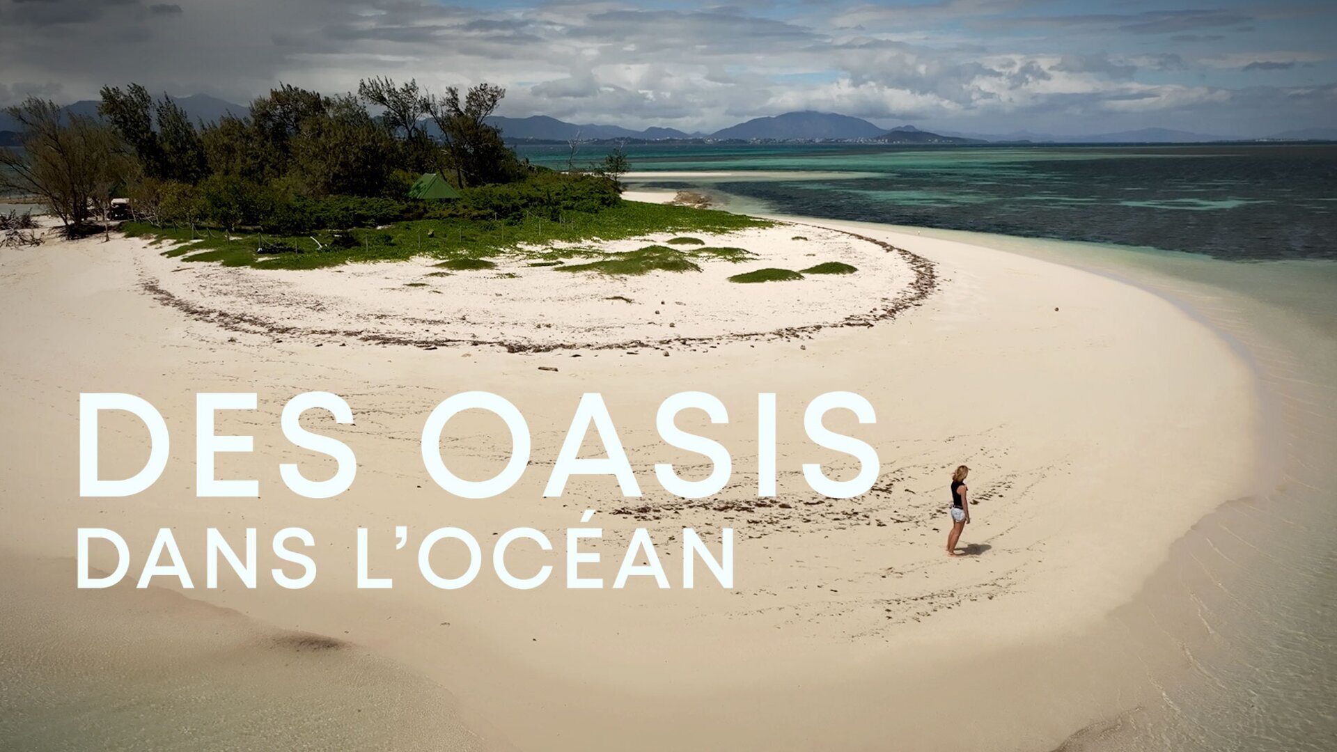 Des oasis dans l'océan