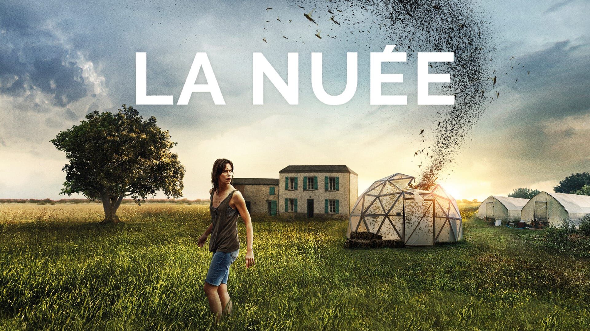 La nuée