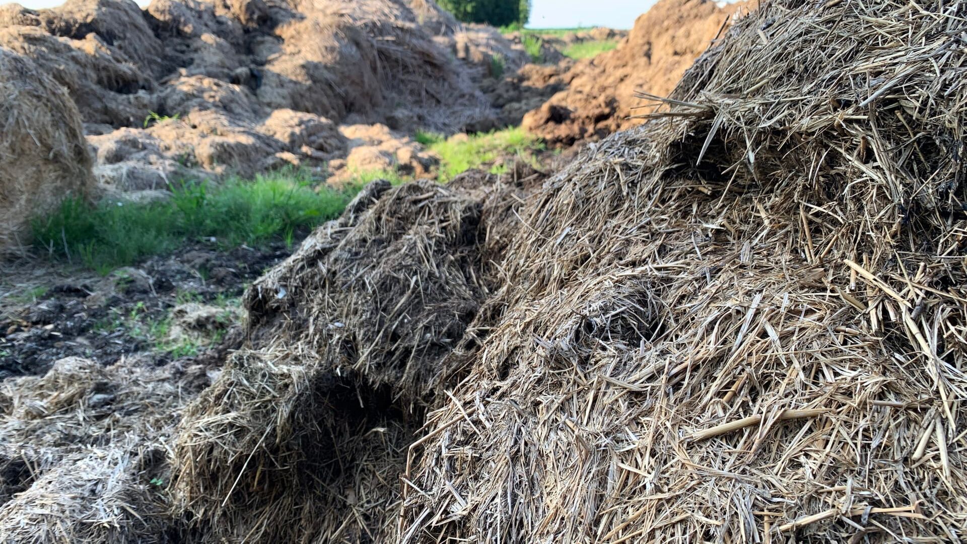 Invasive Fungal Infections - The New Threat