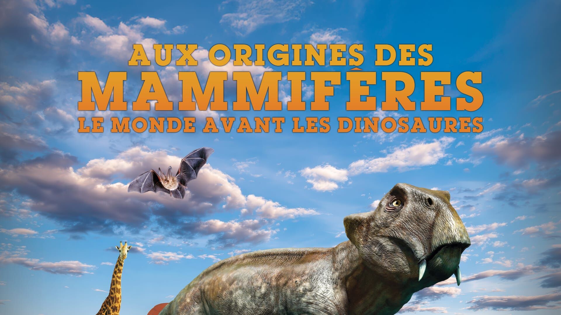 Aux origines des mammifères