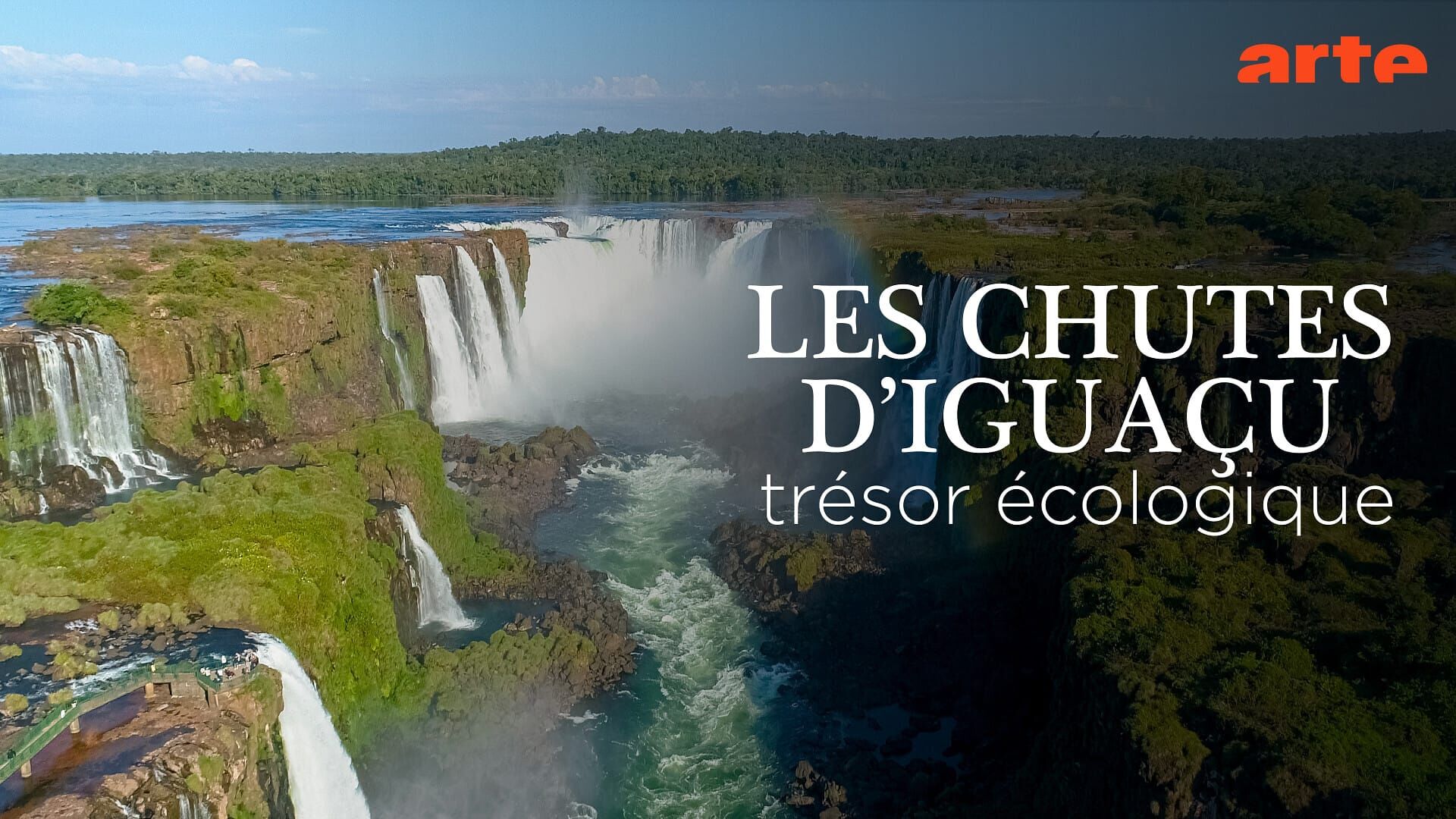 Les chutes d'Iguaçu, trésor de biodiversité