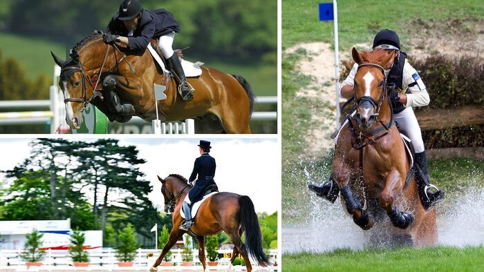 Equitation : Open de France