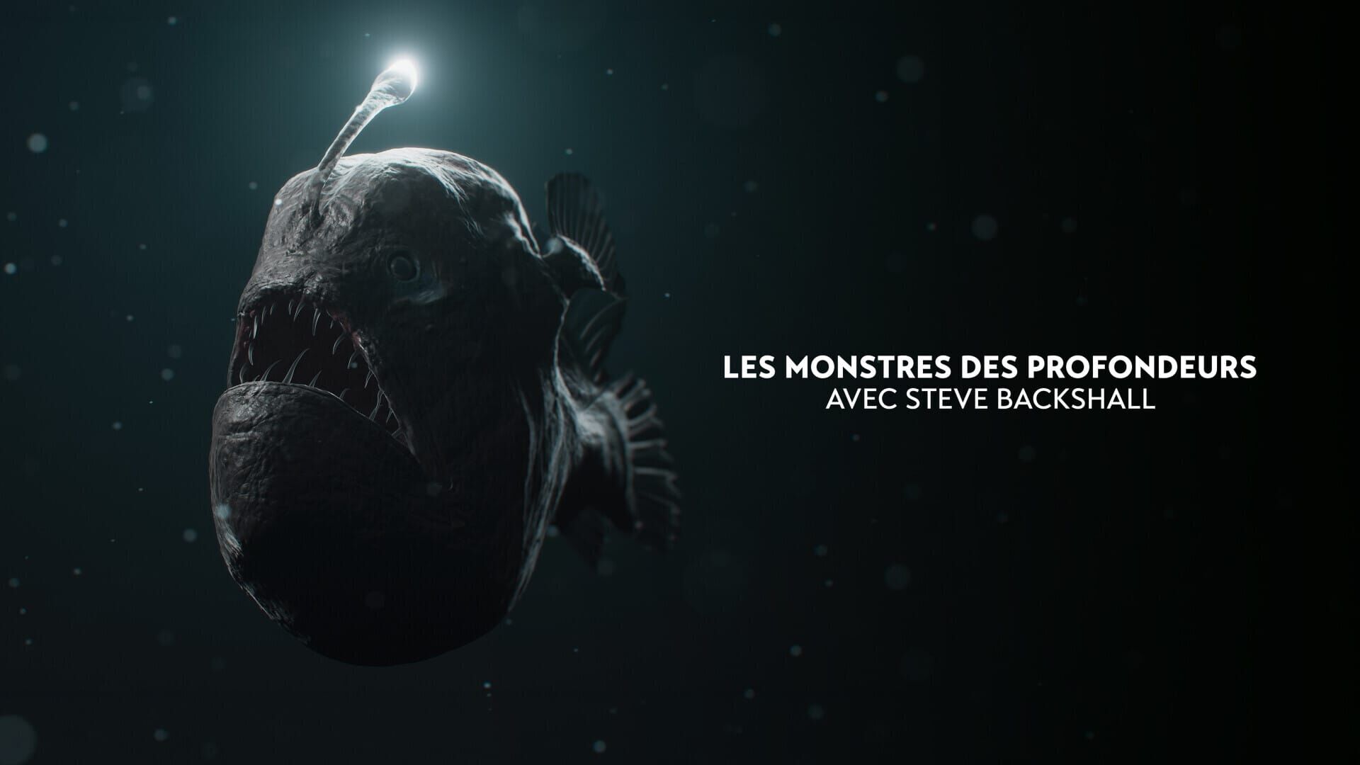 Les tueurs