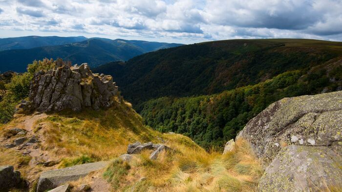 Gendarmes de campagne : affaires sensibles au pied des Vosges