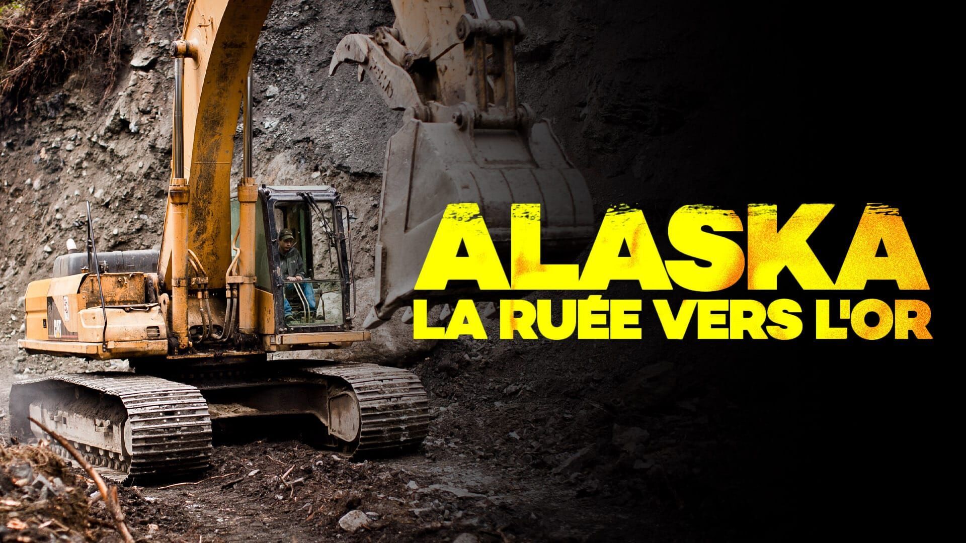 Sur la piste de Parker : bienvenue dans la jungle