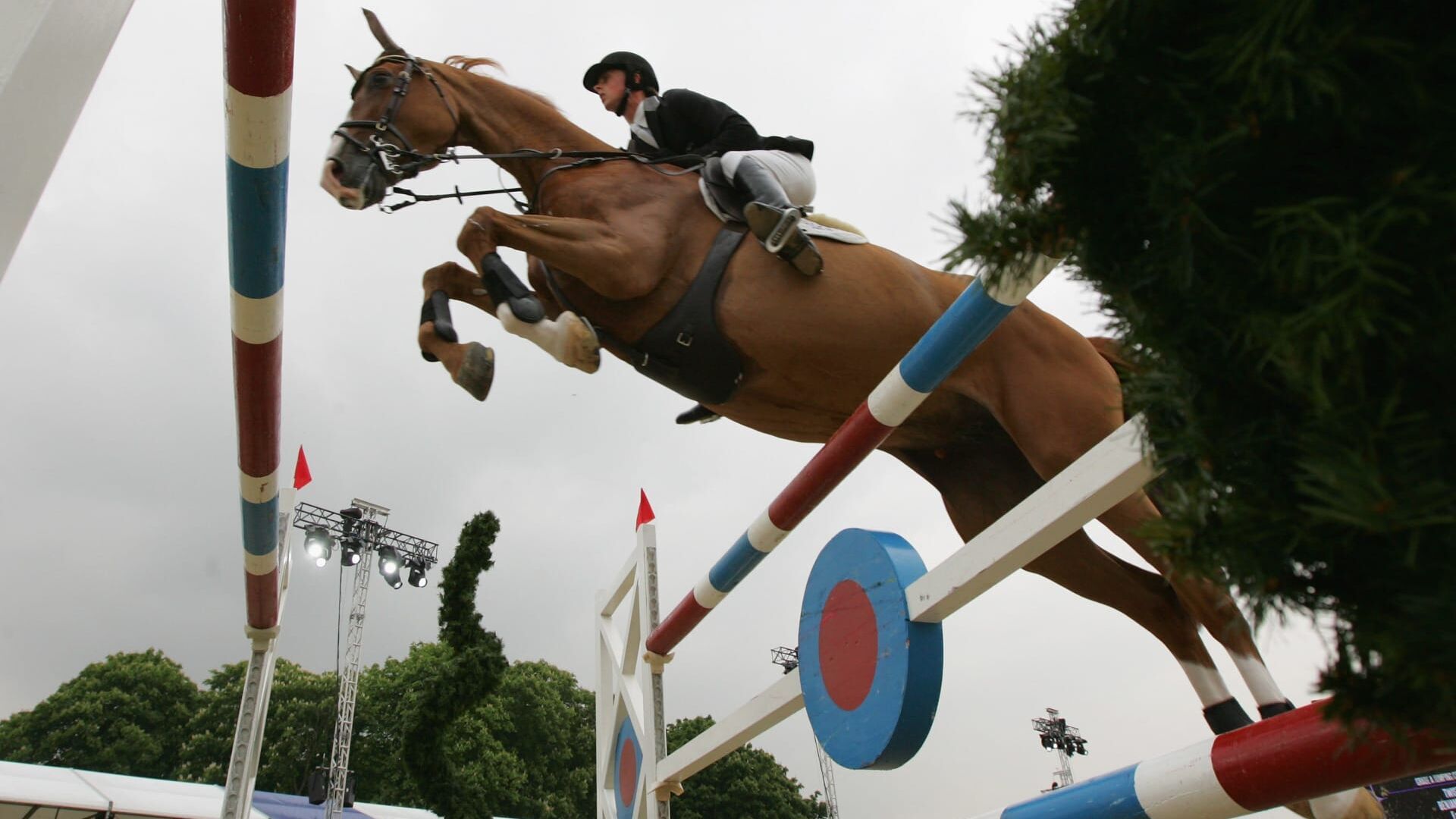Equitation : Royal Windsor Horse Show