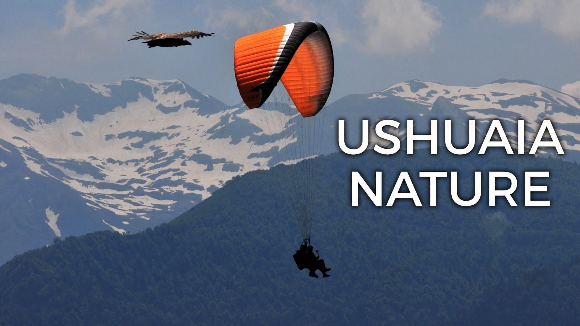 Des mondes de cristal