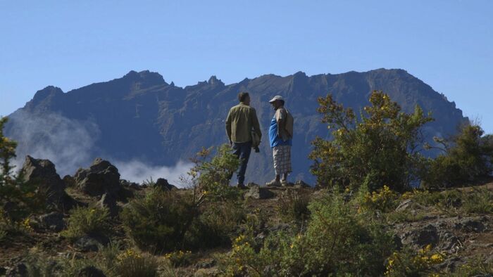 La Réunion : Tisanes créoles