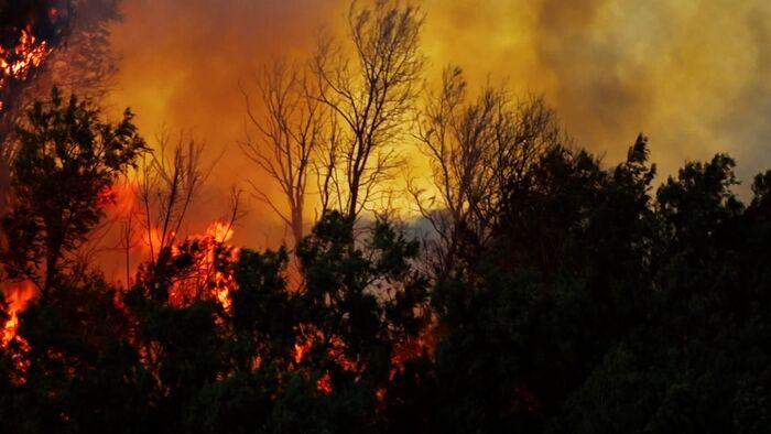 Canicules: Le climat risque-t-il de s'enflammer?
