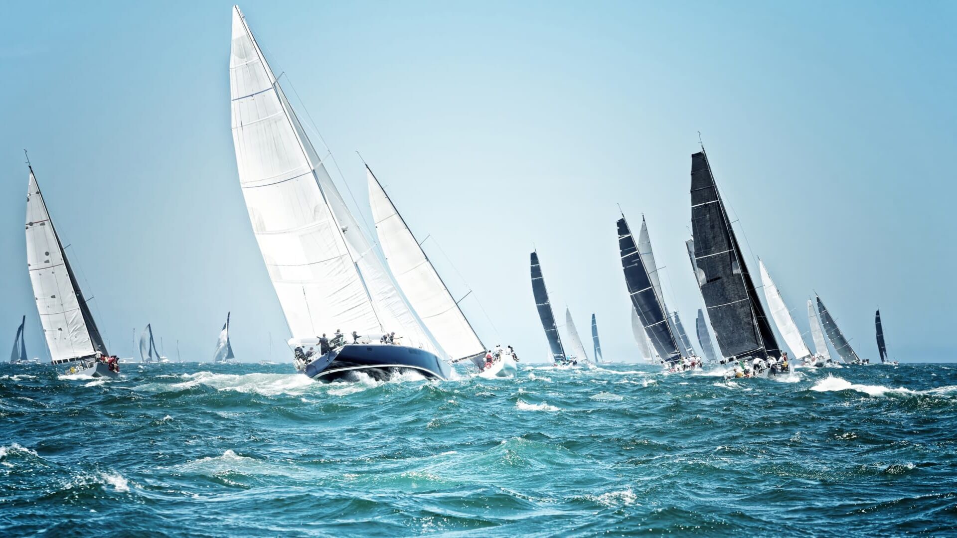 Voile : Transat Café L'Or