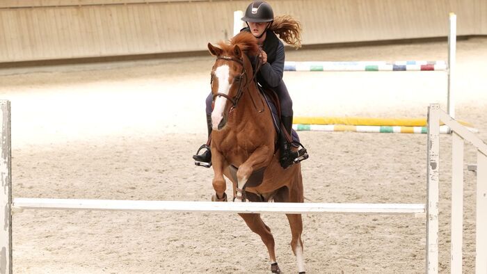 Petit poney deviendra grand