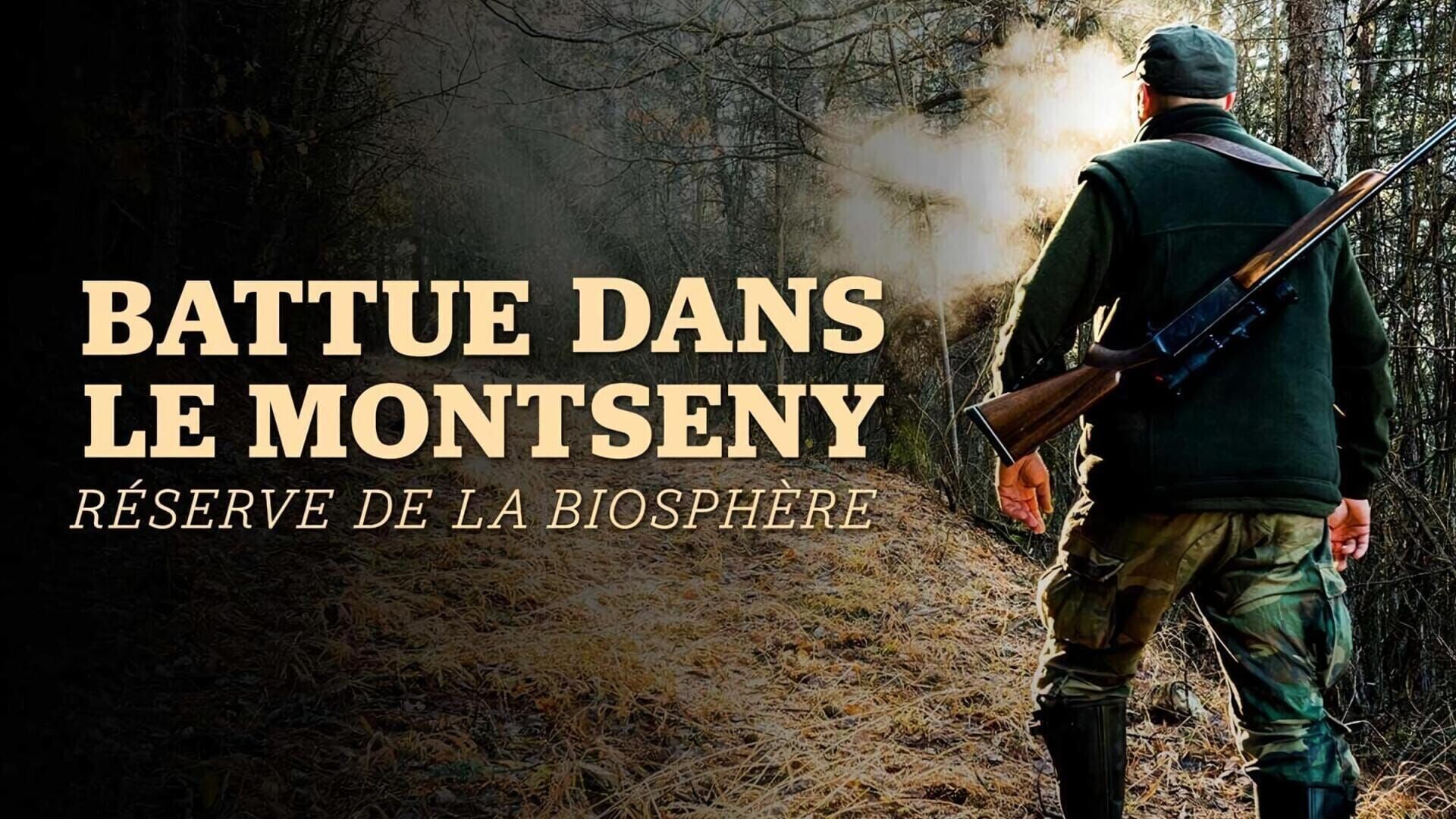 Battue dans le Montseny, réserve de la biosphère