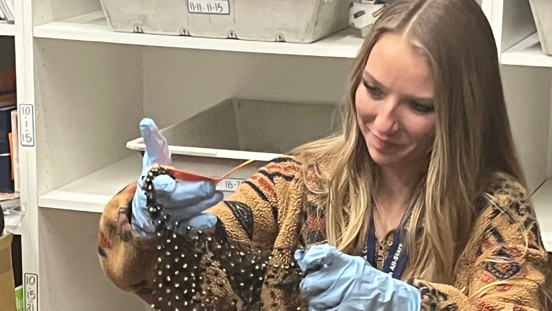 Montre cadeau et portefeuille bien garni