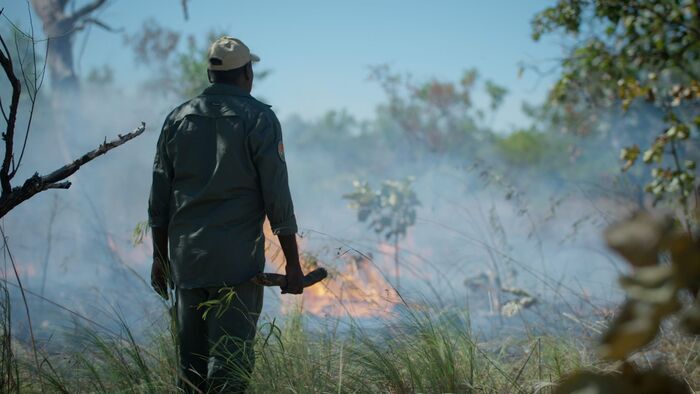 Dans le feu de l'action