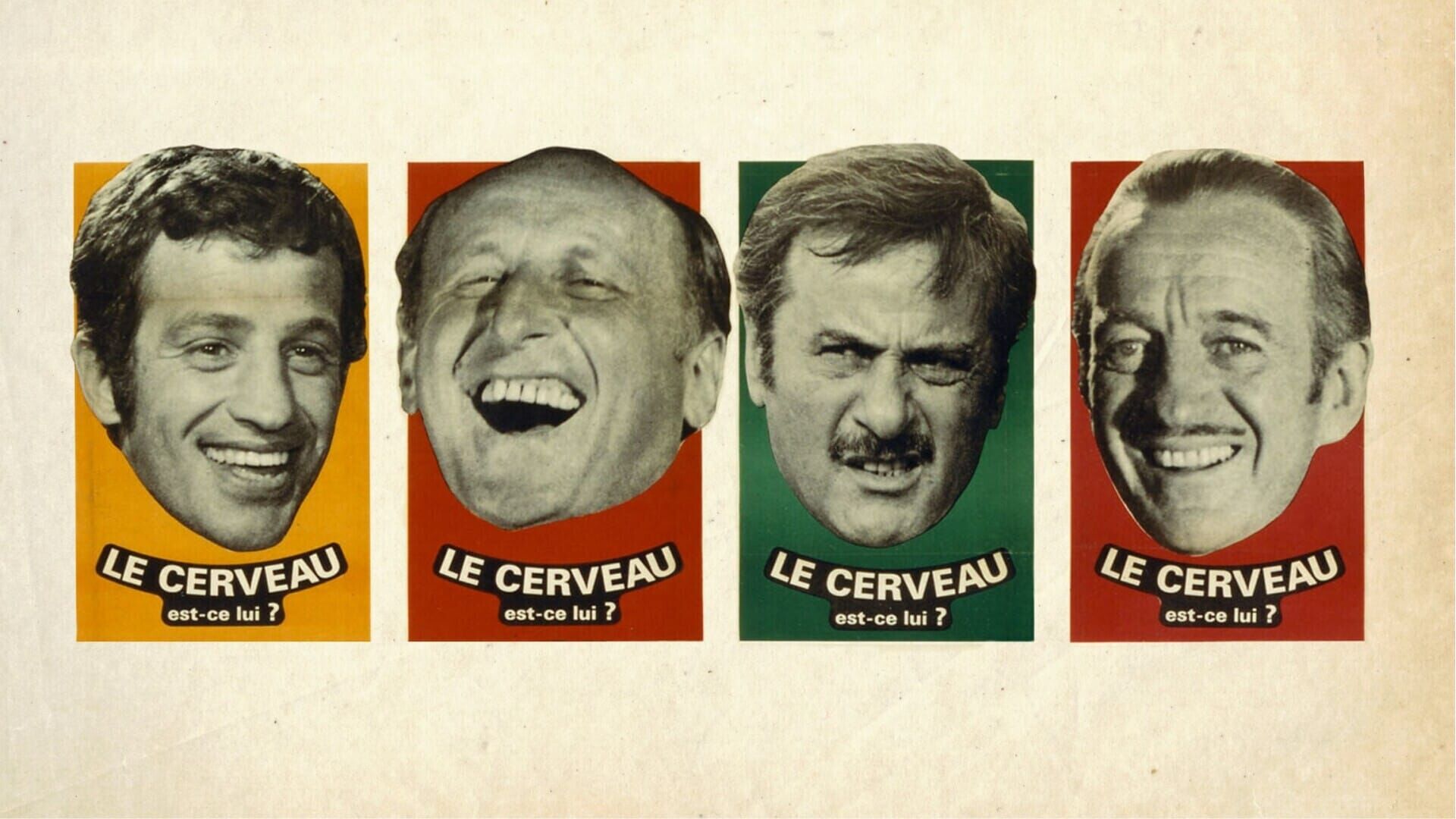 Le cerveau