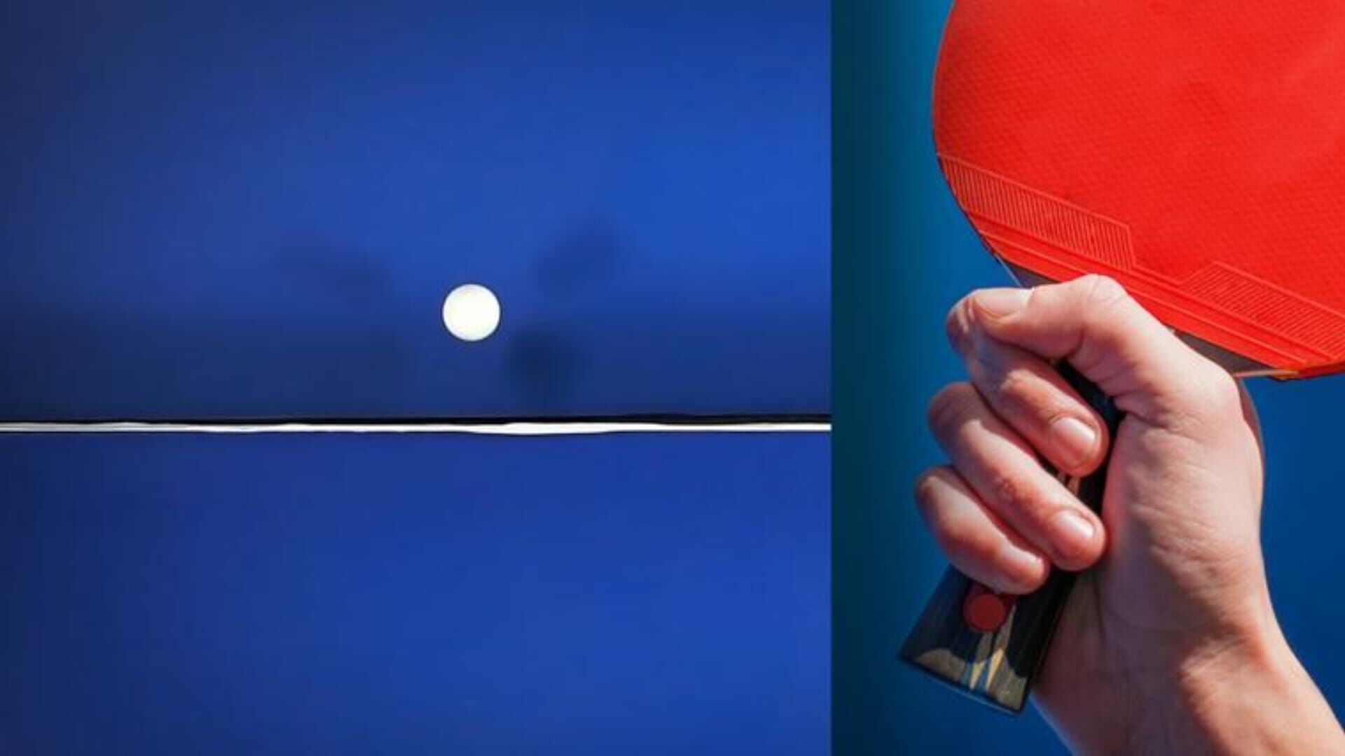 Tennis de table : WTT Star Contender de Ljubljana