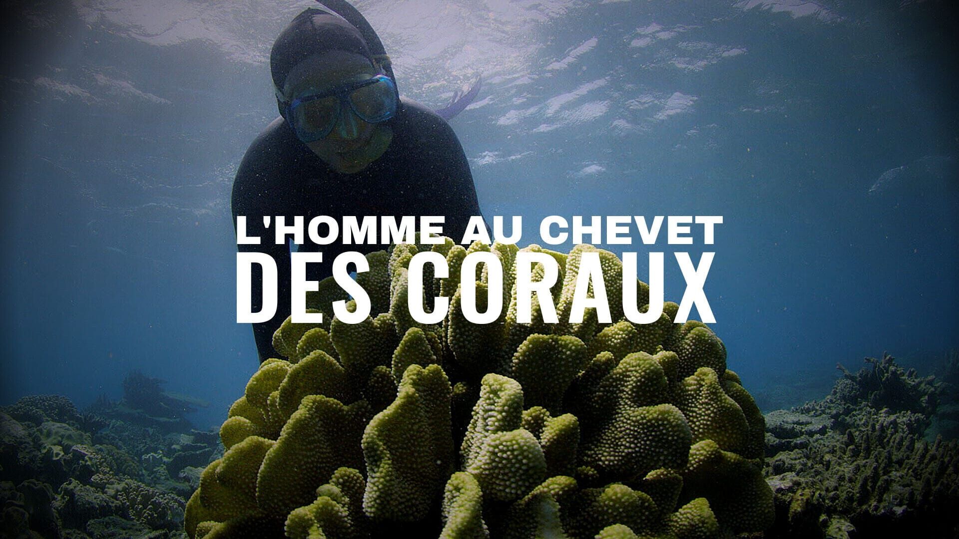 L'homme au chevet des coraux
