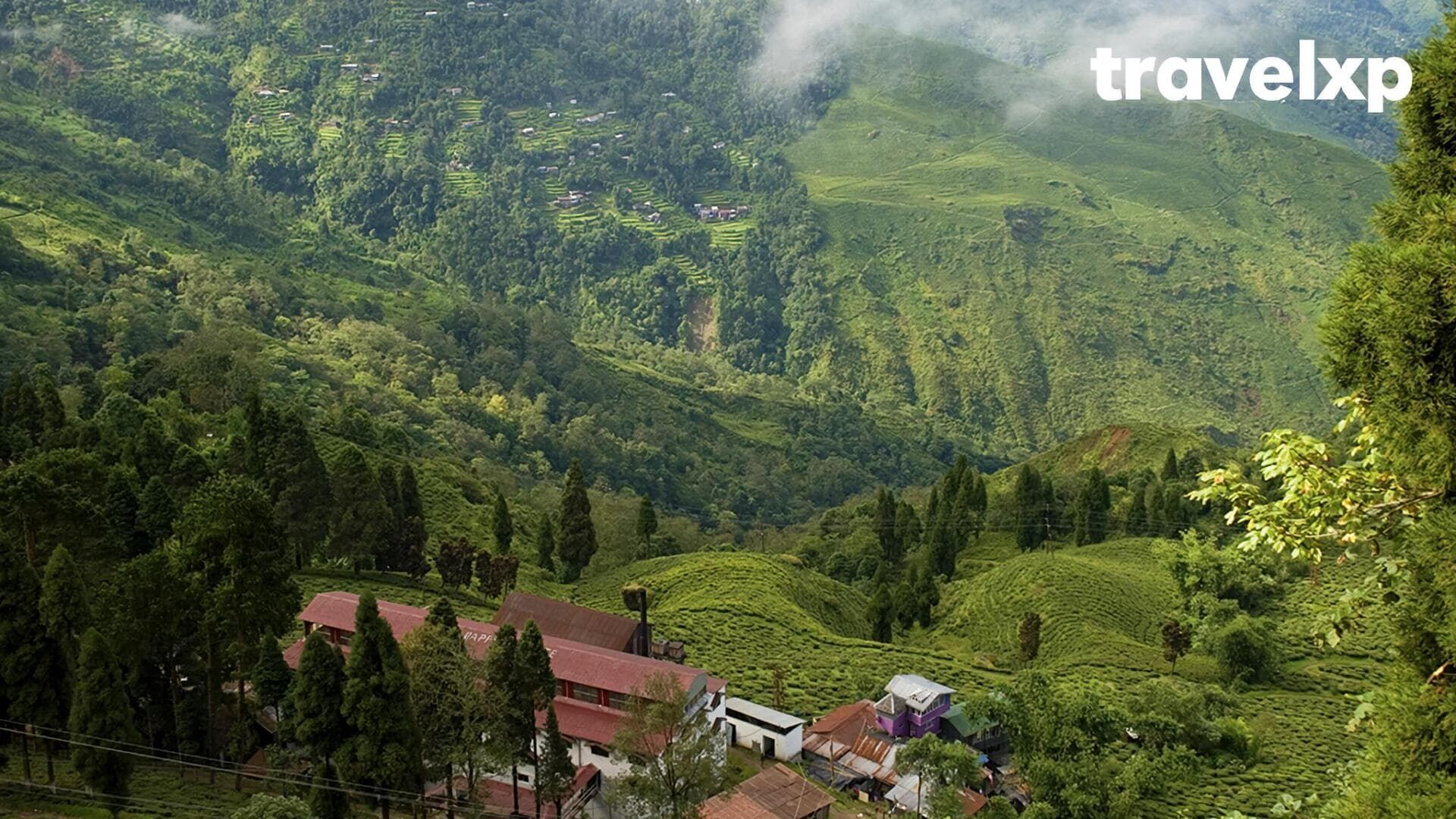 Shillong