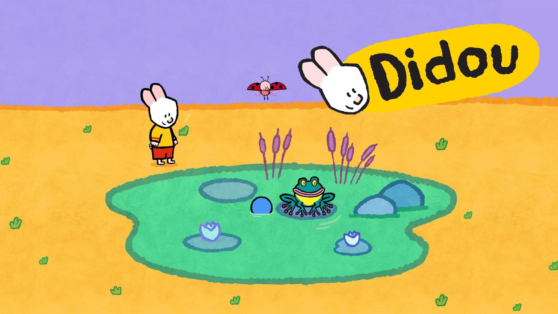Didou
