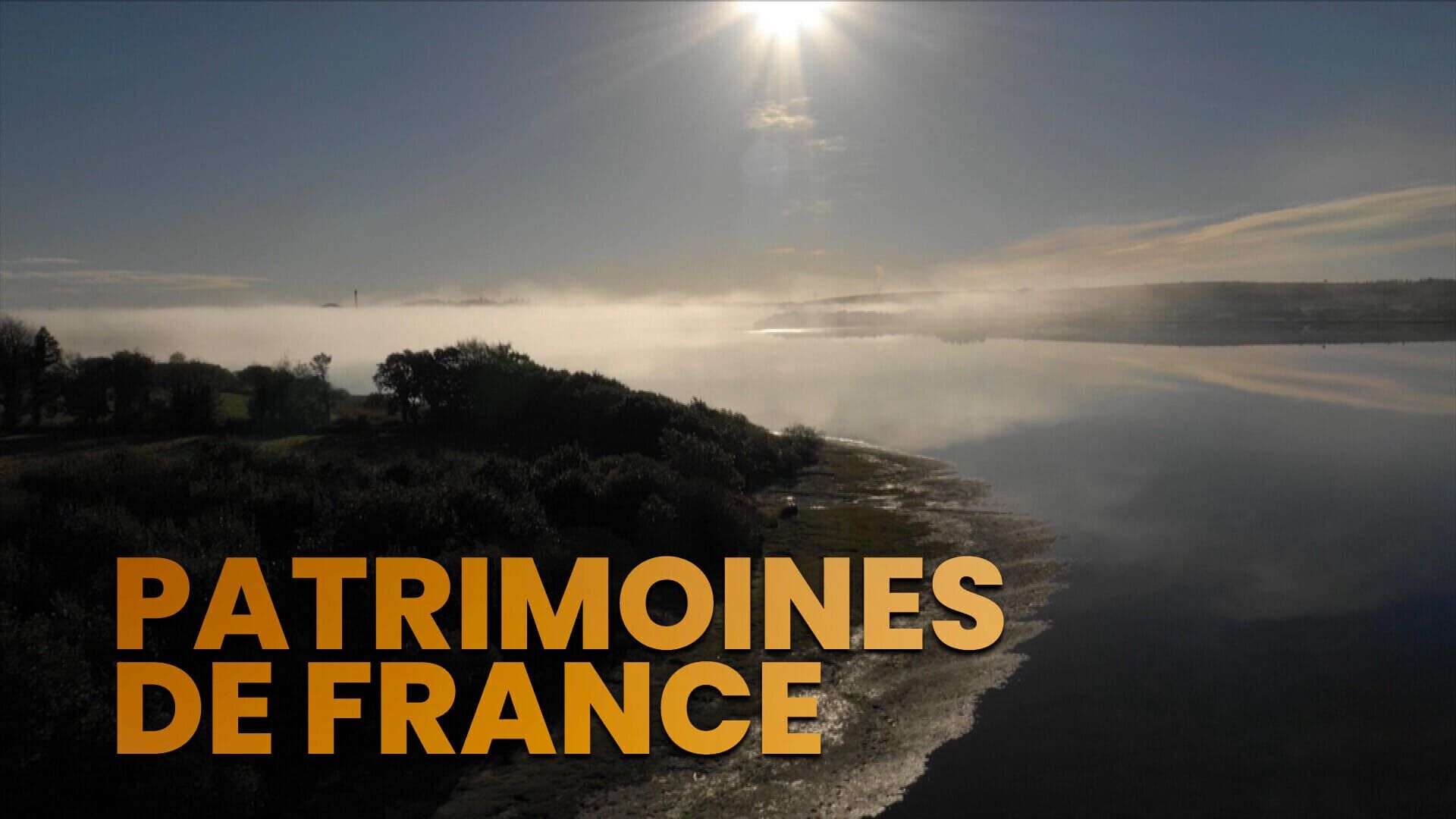 Bergers, gardiens des territoires