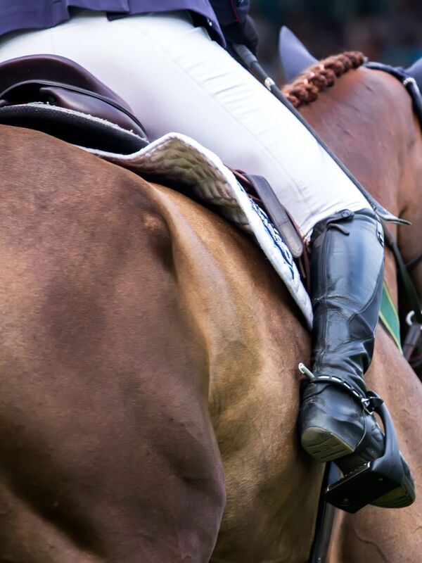 Les métiers de l'équitation