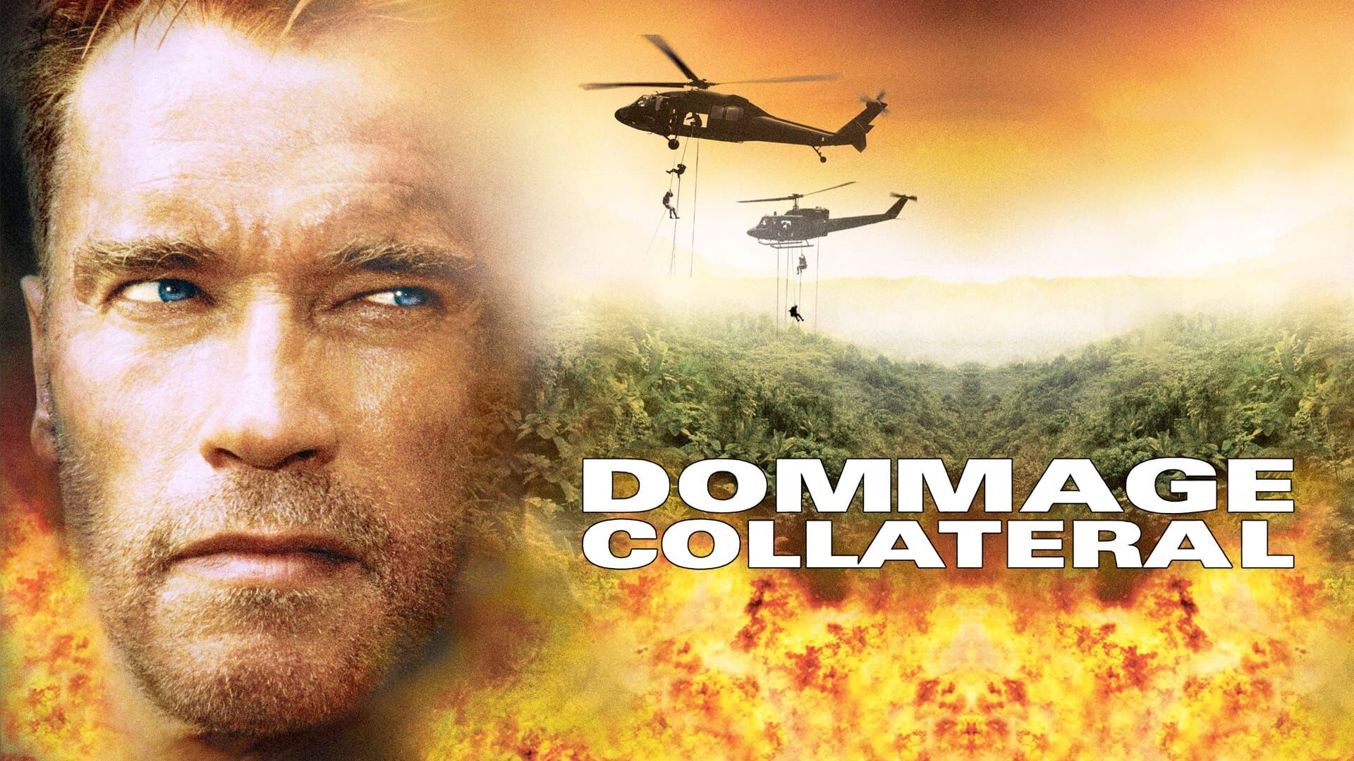 Dommage collatéral