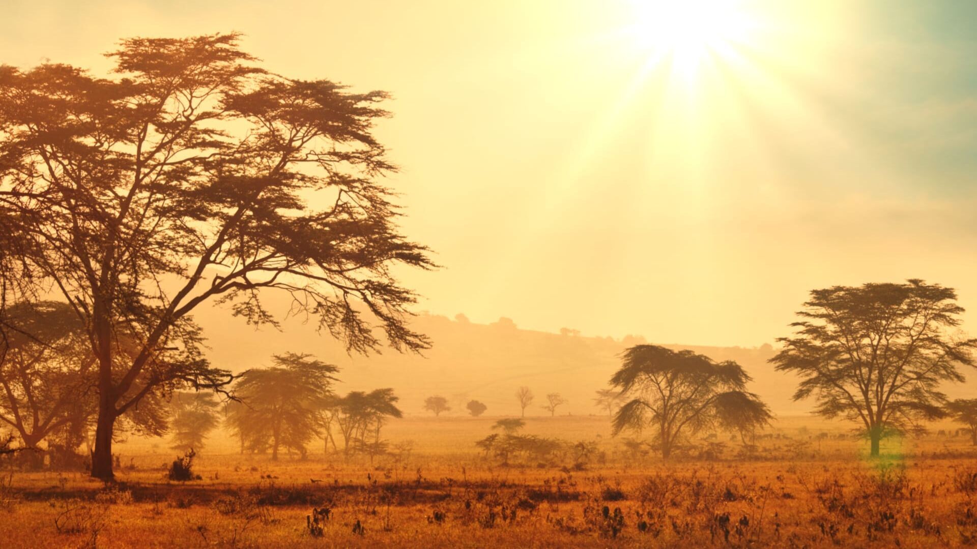 Réveil d'Afrique