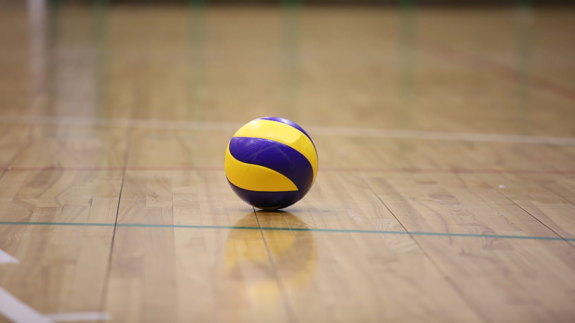 Volley-ball : Avant-match