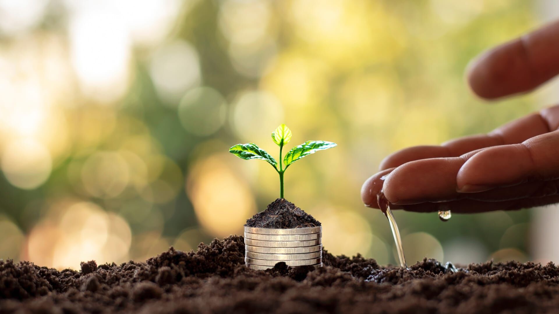 Agriculture : la diversification pour lutter contre le réchauffement climatique