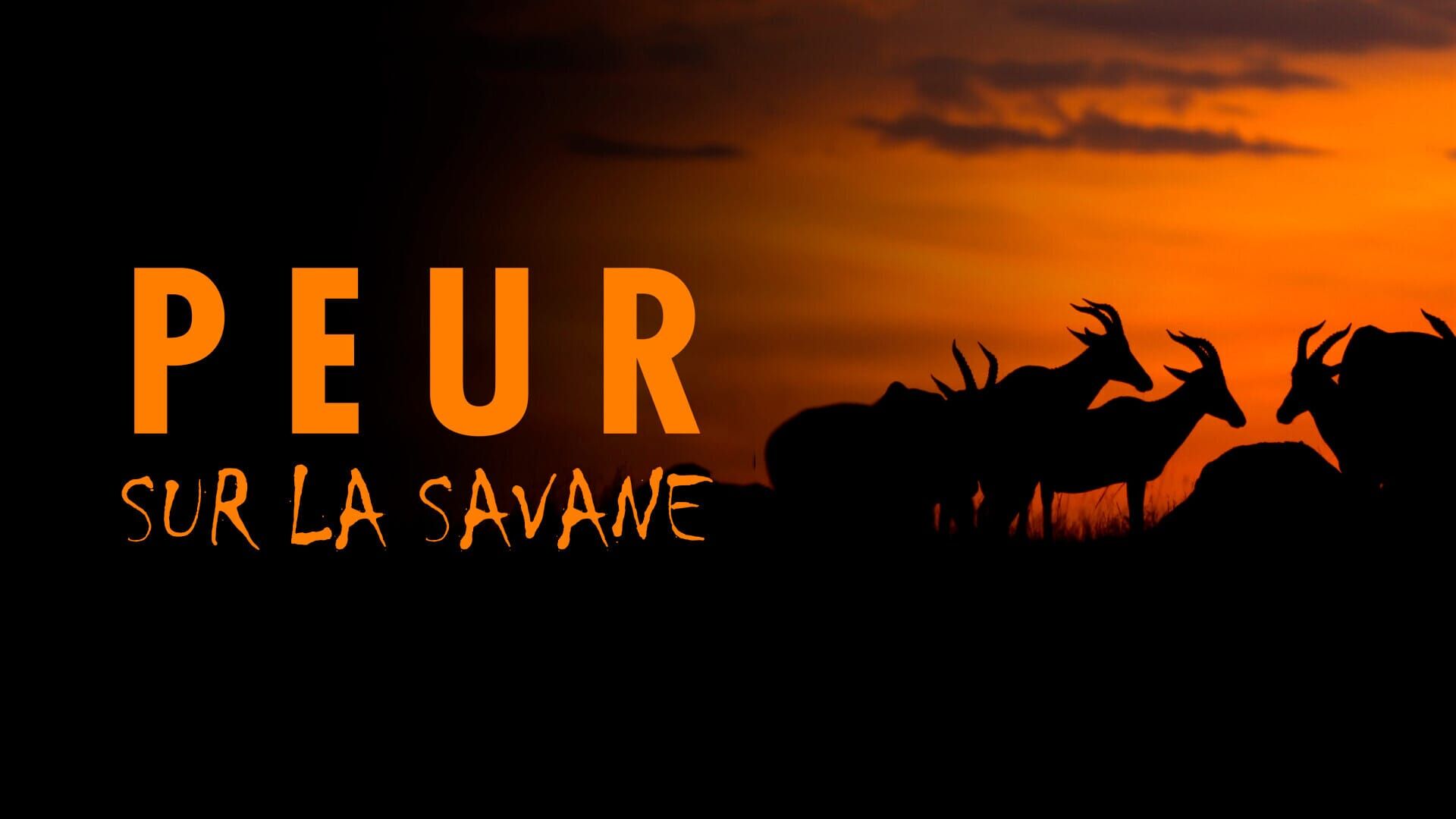 Peur sur la savane