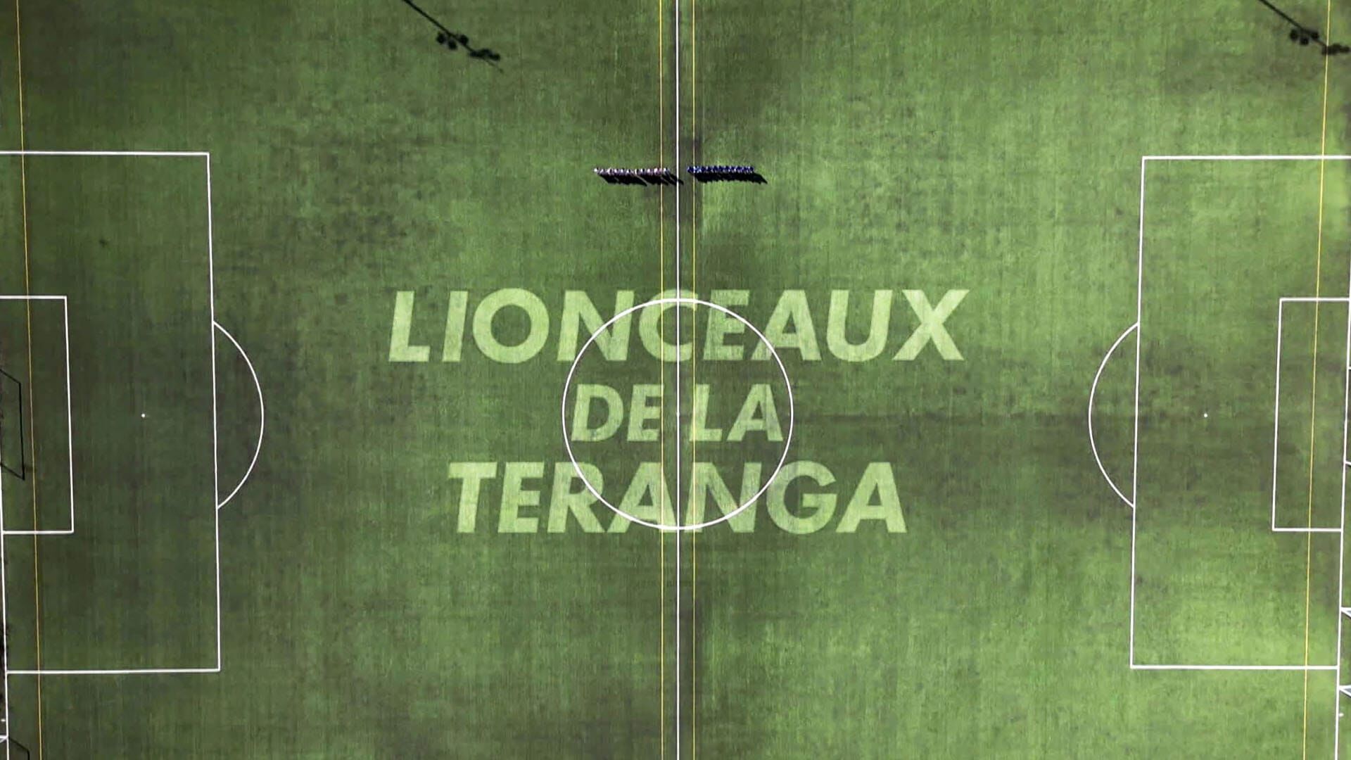 Lionceaux de la Teranga