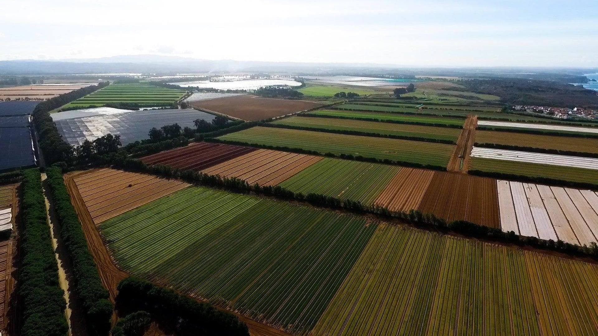 Um Dia Na Agricultura Portuguesa
