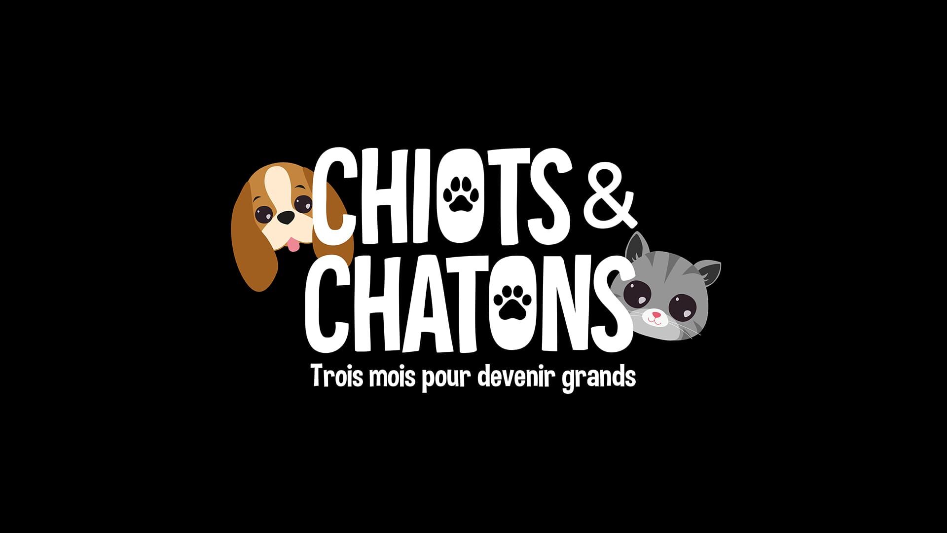 Chiots & chatons, 3 mois pour devenir grand