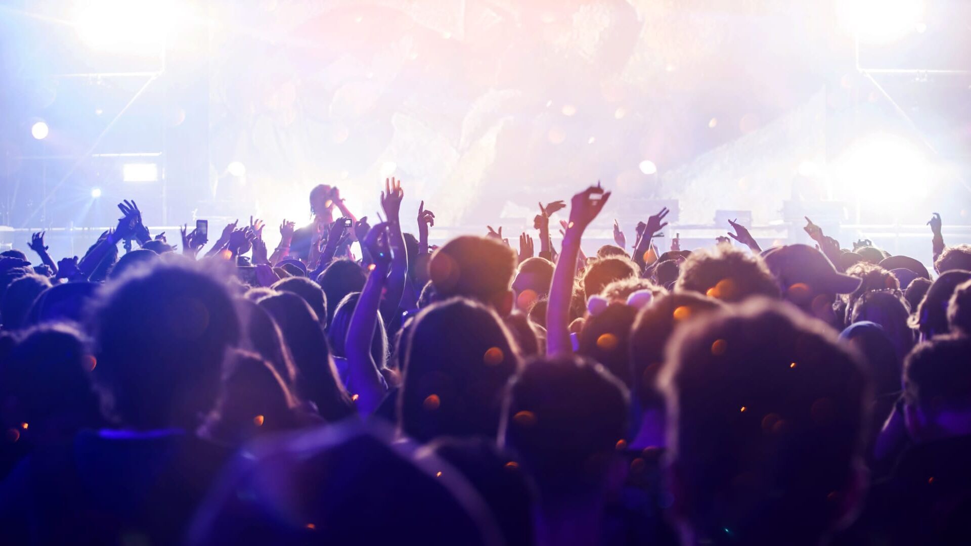 Live Festival Show