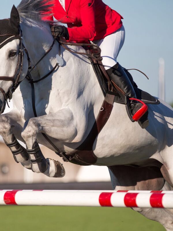 Equitation : Morocco Royal Tour
