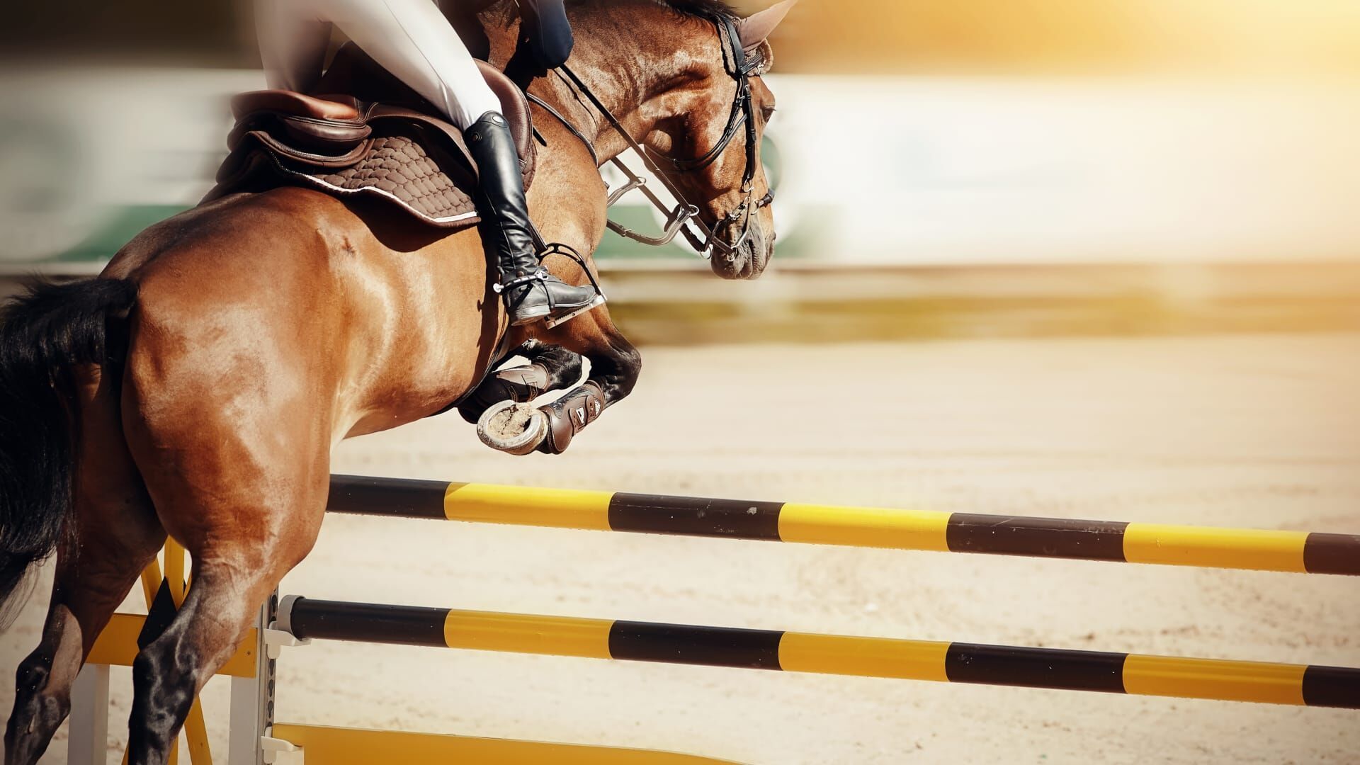 Longines FEI Jumping World Cup Western Europe