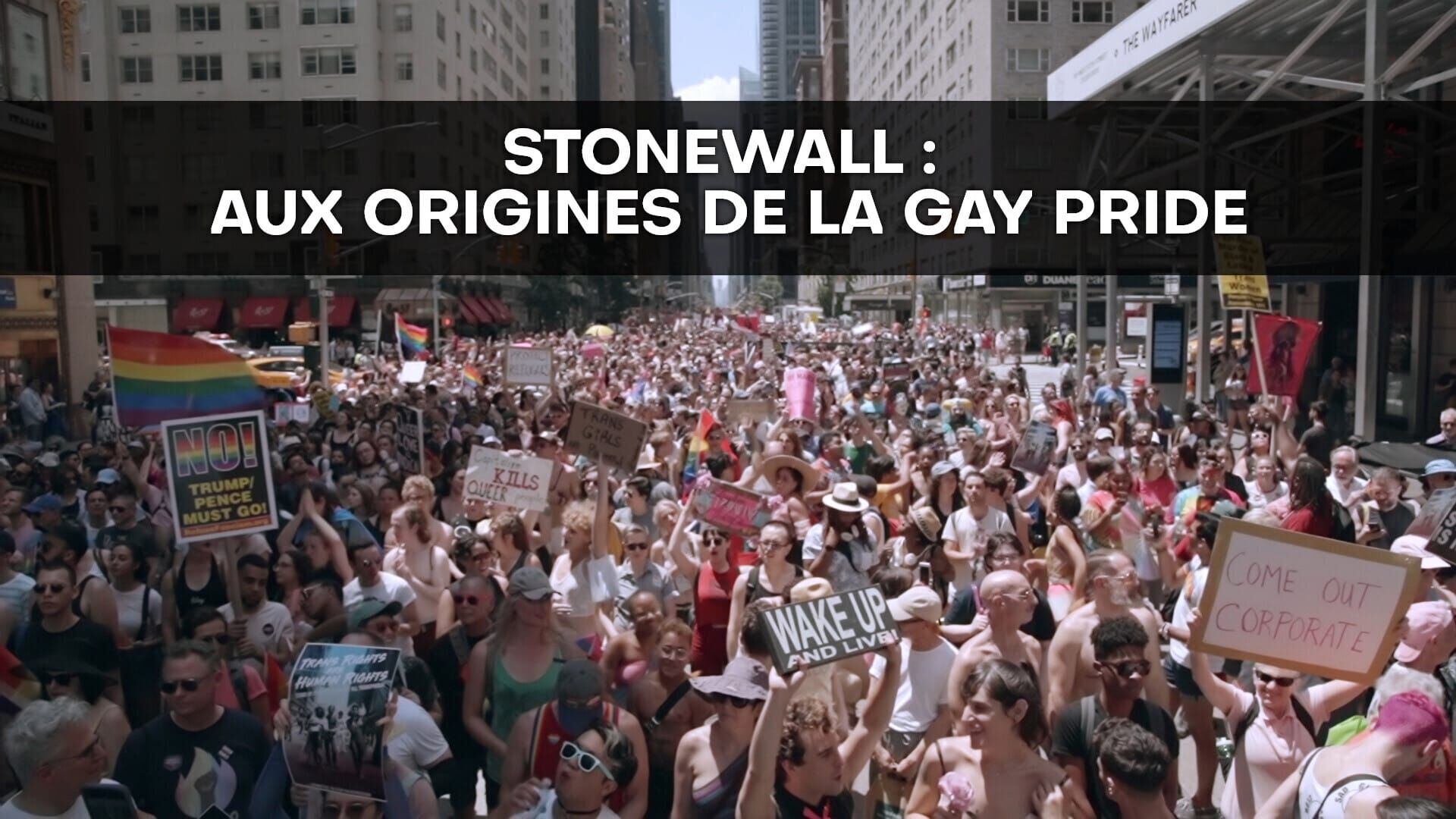 Stonewall, aux origines de la gay pride