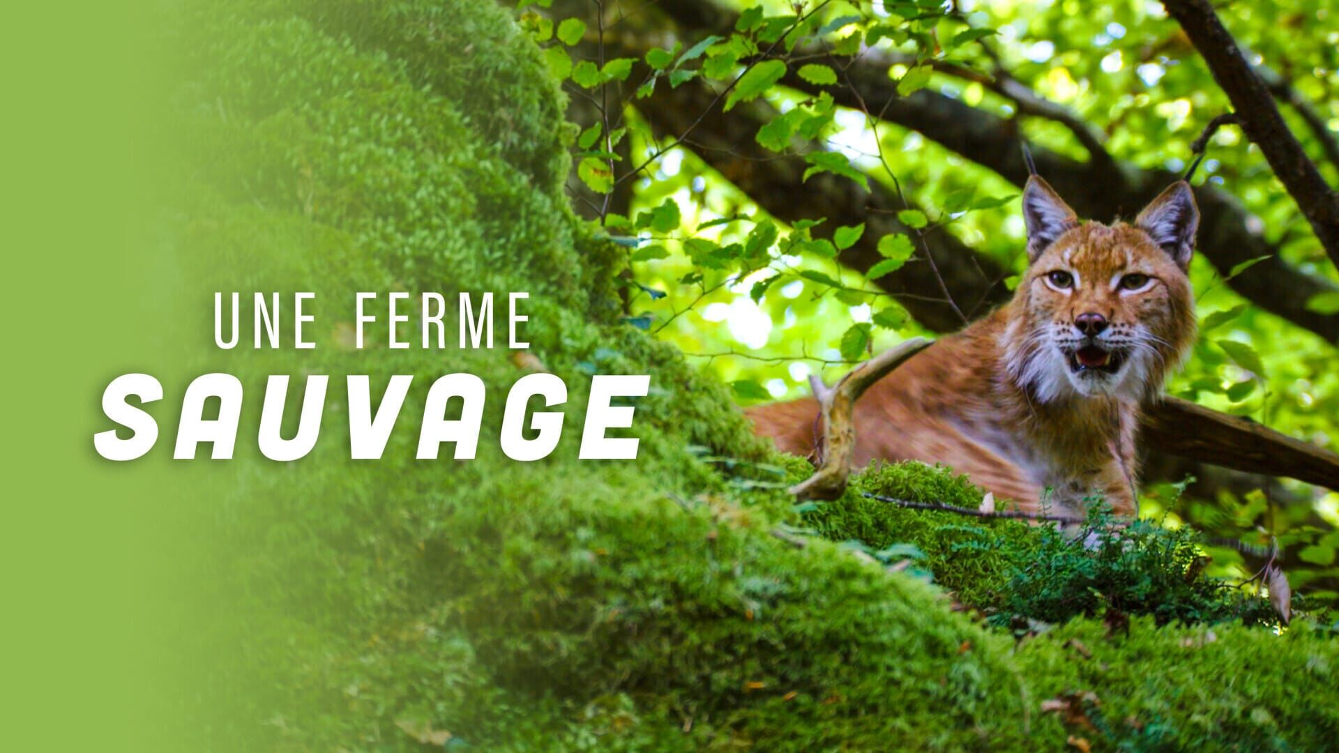 Une ferme sauvage