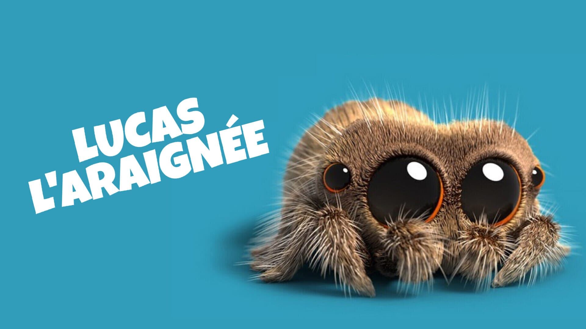 Fine-Mouche est malade